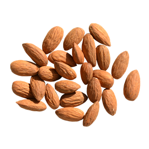 Almond PNG-50709